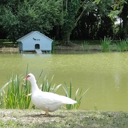 Guest house La Soliniere Bouin (Deux-Sevres)